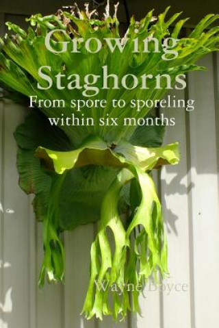 Kniha Growing Staghorns from Spore Wayne Boyce