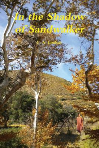 Kniha In the Shadow of Sandwalker C. A. Lindsay