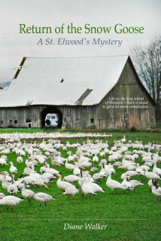 Libro Return of the Snow Goose Diane Walker