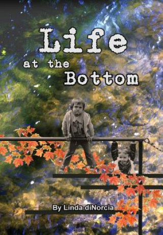 Könyv Life at the Bottom Linda diNorcia