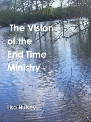 Kniha Vision of the End Time Ministry Lisa Hulsey