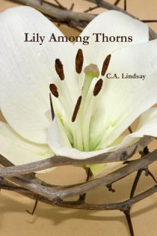 Kniha Lily Among Thorns C. A. Lindsay