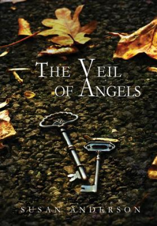 Kniha Veil of Angels Susan Anderson