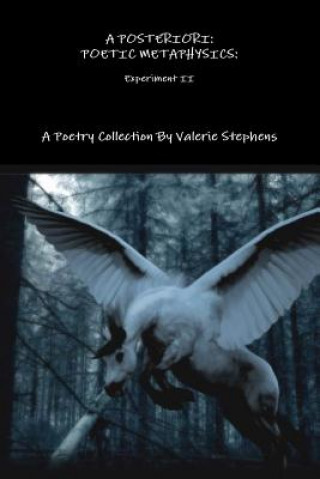 Kniha POSTERIORI: AN EXPERIMENT IN POETIC METAPHYSICS II Valerie Stephens