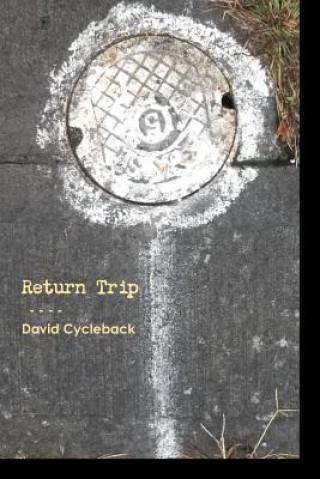 Könyv Return Trip David Cycleback