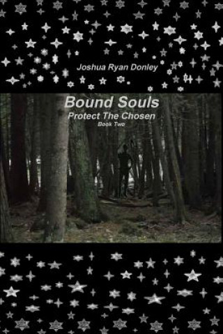 Książka Bound Souls Protect The Chosen Joshua Ryan Donley