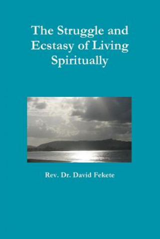 Kniha Struggle and Ecstasy of Living Spiritually David Fekete