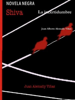 Buch Incertidumbre Juan Alberto Alemany Vinas