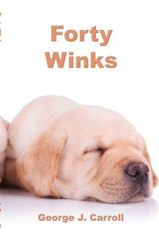 Książka Forty Winks George J Carroll