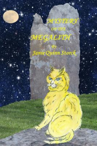 Kniha Mystery of the Megalith Janie Quinn Storck