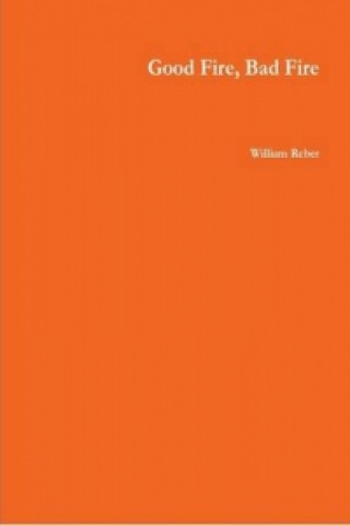 Könyv Good Fire, Bad Fire William Reber