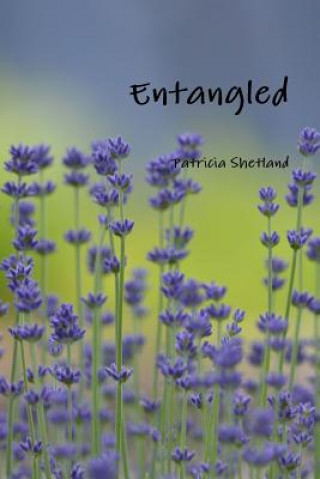 Könyv Entangled Patricia Shetland