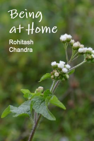 Knjiga Being at Home Rohitash Chandra