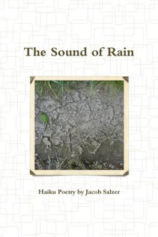 Kniha Sound of Rain Jacob Salzer