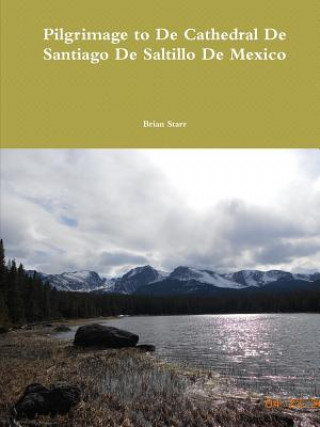 Книга Pilgrimage to De Cathedral De Santiago De Saltillo De Mexico Brian Starr