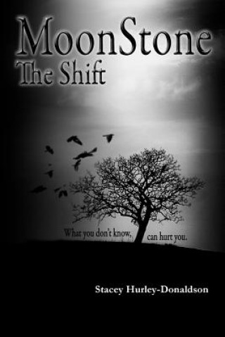 Kniha Moonstone: the Shift Stacey Hurley-Donaldson