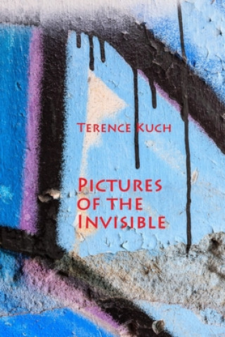 Книга Pictures of the Invisible Terence Kuch