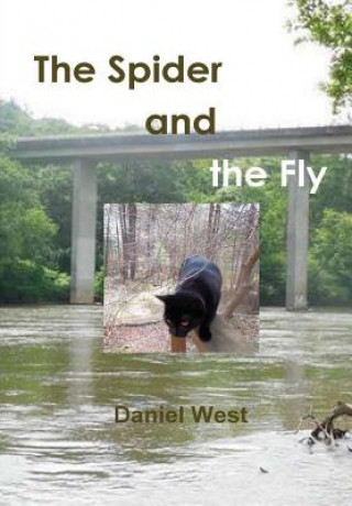 Carte Spider and the Fly Daniel West