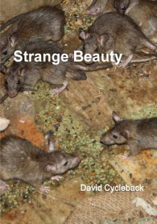 Book Strange Beauty David Cycleback