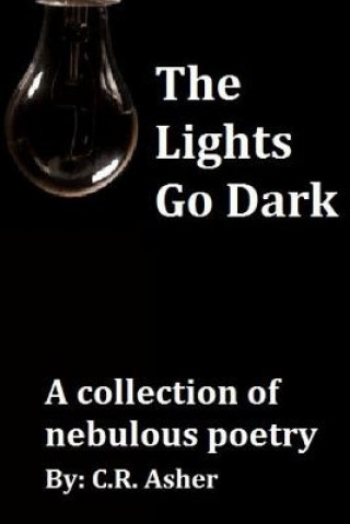 Book Lights Go Dark C R Asher