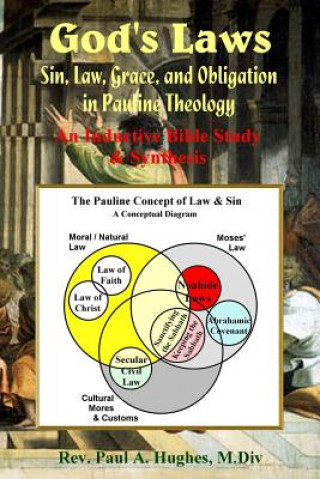 Buch God's Laws: Sin, Law, Grace, and Obligation in Pauline Theology Paul Hughes