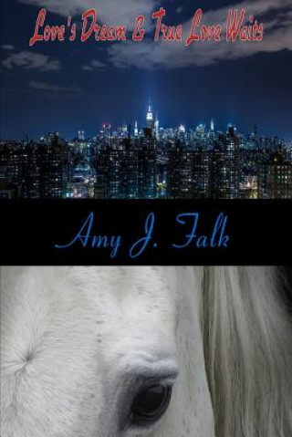 Libro Davis Family Series Books 1-2 Amy J Falk