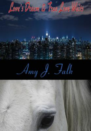 Buch Davis Family Series Books 1-2 Amy J Falk