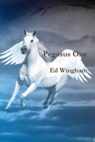 Buch Pegasus One Ed Wingham