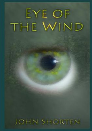 Buch Eye of the Wind John Shorten