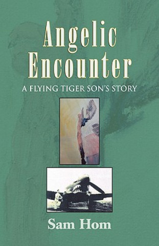 Livre Angelic Encounter Sam B Hom