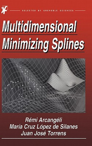 Kniha Multidimensional Minimizing Splines Juan Jose Torrens