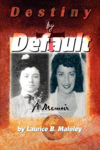 Kniha Destiny by Default Laurice B Maloley