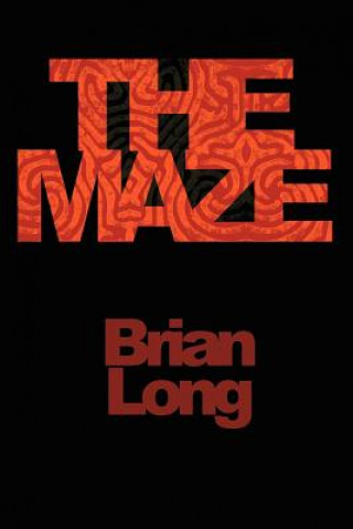 Książka Maze Brian Long