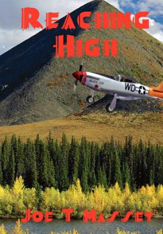 Book Reaching High Joe T Massey
