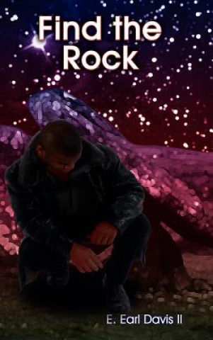 Kniha Find the Rock Davis