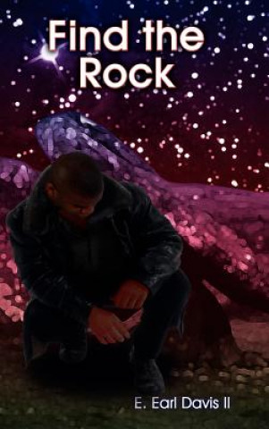 Book Find the Rock Davis