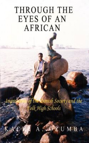 Книга Through the Eyes of an African Kachi A Ozumba