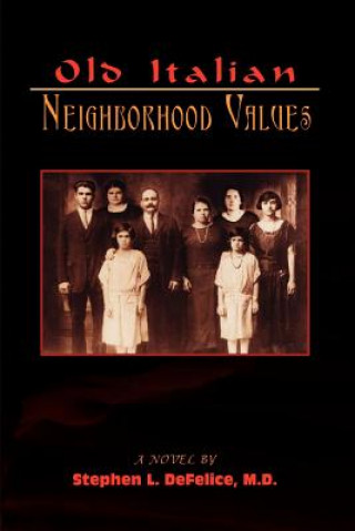 Könyv Old Italian Neighborhood Values Stephen L DeFelice