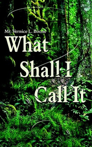 Carte What Shall I Call It? MR Vernice L Boone