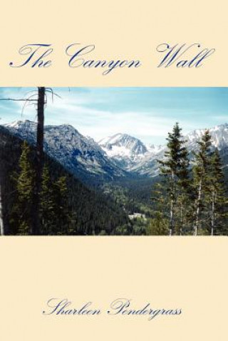 Livre Canyon Wall Sharleen Pendergrass