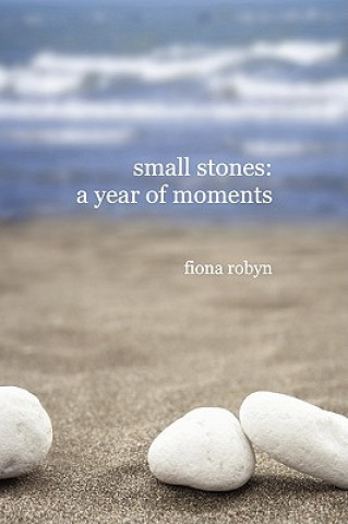 Buch Small Stones: a Year of Moments Fiona Robyn