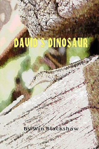 Livre David's Dinosaur Win Blackshaw