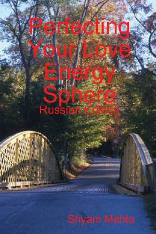 Könyv Perfecting Your Love Energy Sphere: Russian Edition Shyam Mehta