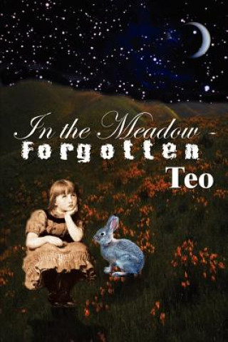 Kniha In the Meadow - Forgotten Teo