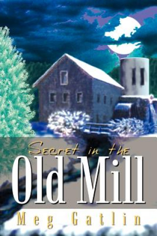 Libro Secret in the Old Mill Meg Gatlin