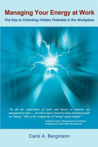 Knjiga Managing Your Energy at Work: the Key to Unlocking Hidden Potential in the Workplace Carol A Bergmann