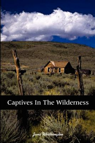 Buch Captives in the Wilderness June Worthington