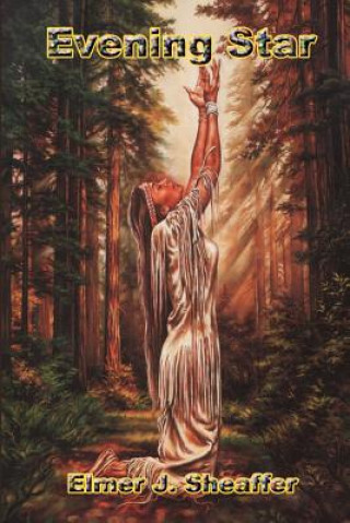 Knjiga Evening Star Elmer J Sheaffer