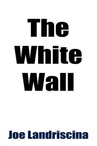 Buch White Wall Joe Landriscina