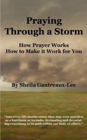 Carte Praying through a Storm Sheila Gautreaux-Lee